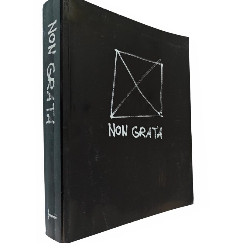 NON GRATA 1 - Art of the Invisibles