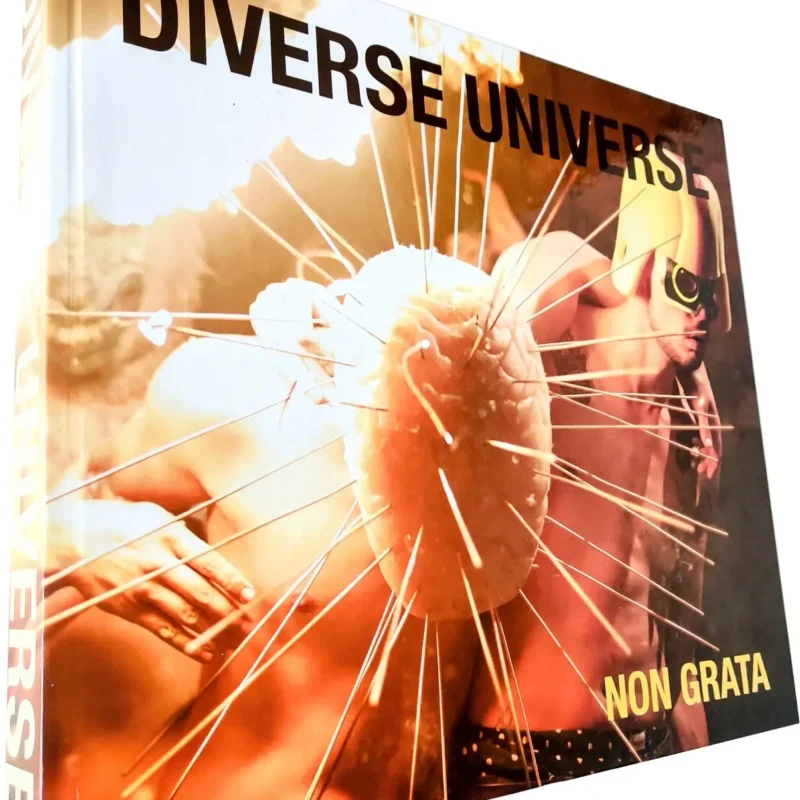 DIVERSE UNIVERSE – Non Grata